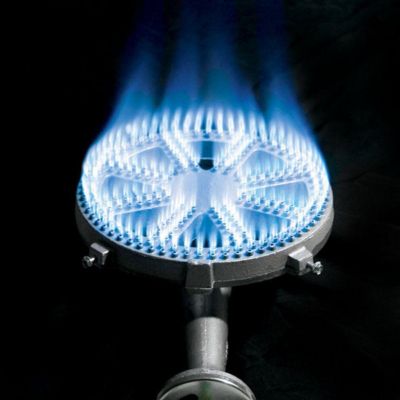 Image showing  22 in. Stainless Bayou Cooker