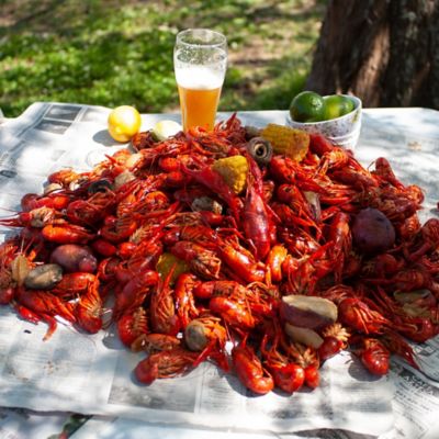 Image showing  22 in. Stainless Bayou Cooker