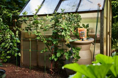 Image showing 5 th C-BITE Tangerine Orange Stake Clips for 7/16 in. diameter stakes, 100 ct.