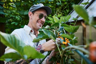 Image showing 7 th C-BITE Tangerine Orange Stake Clips for 7/16 in. diameter stakes, 100 ct.