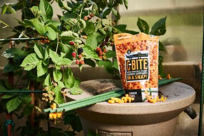 Image showing 6 th C-BITE Incognito Green Stake Clips for 7/16 in. diameter stakes, 100 ct.