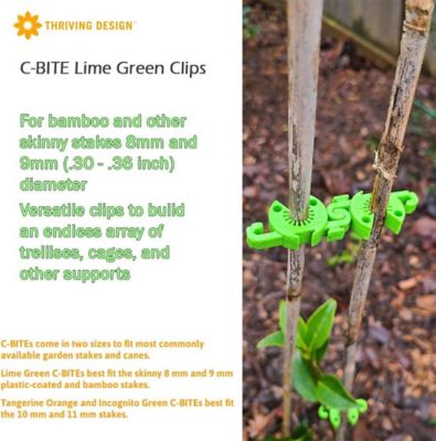 Image showing  Lime C-BITE Stake Clips for 5/16 in. diameter stakes, 100 ct.
