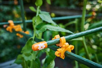 Image showing  10-12 mm Garden Plant Support Clips, Tangerine, 1,000-Pack