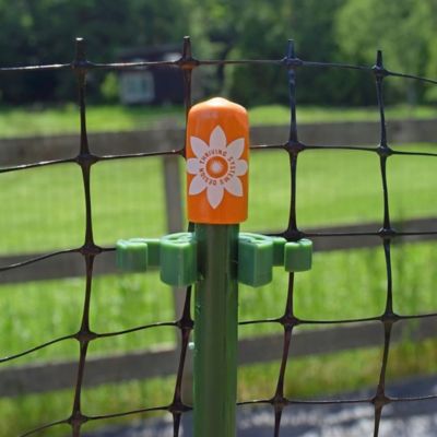 Image showing  Stake Safety Caps Tang, 12 ct.