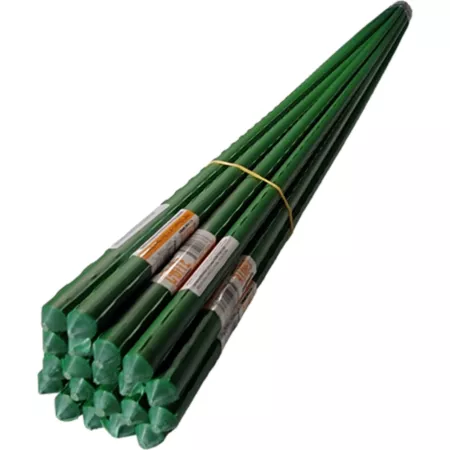 C-BITE Garden Stakes 6 ft 100 ct Plant Stakes