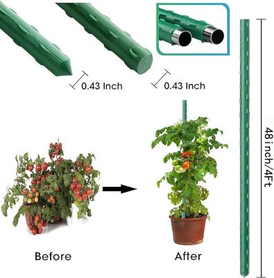 Image showing  Garden Stakes, 4 ft. 100 ct.