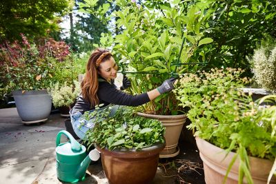 Image showing 7 th C-BITE Garden Stakes, 4 ft. 20 ct.