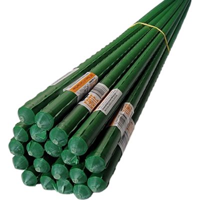 C-BITE Garden Stakes, 3 ft. 100 ct.