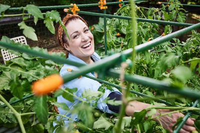 Image showing  3 ft. Garden Stakes - Bundle of 20