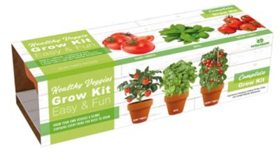 TotalGreen Holland Italian Veggie & Herb Trio Grow Kit