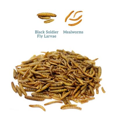 Image showing  Crawler Crunch Chicken Treats, 5 lb.