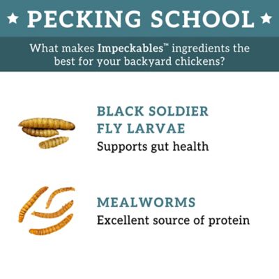 Image showing  Crawler Crunch Chicken Treats, 5 lb.