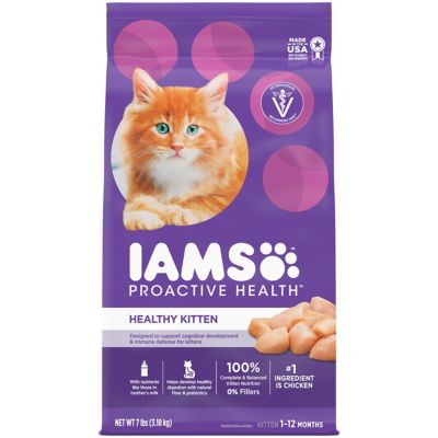 cheap iams cat food