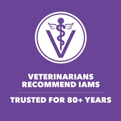 Image showing 6 th Iams ProActive Health Healthy Kitten Indoor/Outdoor Chicken Recipe Dry Cat Food