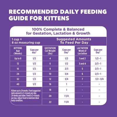 Image showing 8 th Iams ProActive Health Healthy Kitten Indoor/Outdoor Chicken Recipe Dry Cat Food