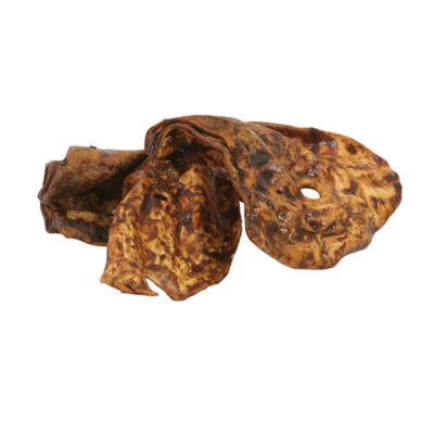 Image showing  Bully Coated Cow Ear