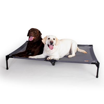 K&H Pet Products All Weather Pet Cot, Jumbo, Gra,y 56 x 38 x 9in.