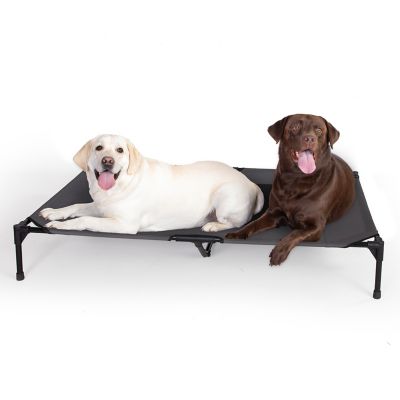 K&H Pet Products Original Elevated Cot Pet Bed, Jumbo, 56 in. x 38 in. x 9 in., Charcoal