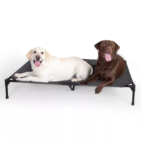 K&H Pet Products Original Elevated Pet Bed Jumbo 56 in x 38 in x 9 in Charcoal Elevated & Cooling Beds