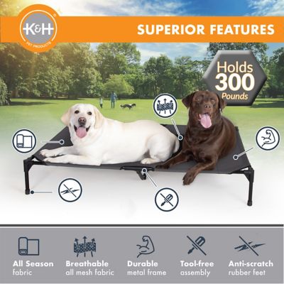 Image showing 5 th K&H Pet Products Original Elevated Cot Pet Bed