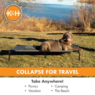Image showing 7 th K&H Pet Products Original Elevated Cot Pet Bed