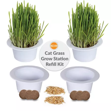 K&H Pet Products Catnip Grow Refill Cups Catnip & Cat Grass