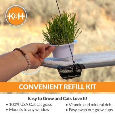 Image showing  Cat Grass Growing Refill Cups