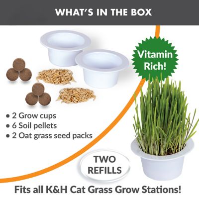 Image showing  Cat Grass Growing Refill Cups