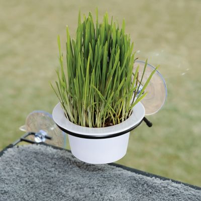 K&H Pet Products EZ Mount Cat Grass Station