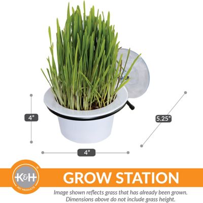 Image showing  EZ Mount Cat Grass Station