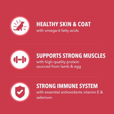 Image showing 5 th Iams ProActive Health MiniChunks Adult Lamb and Rice Recipe Dry Dog Food