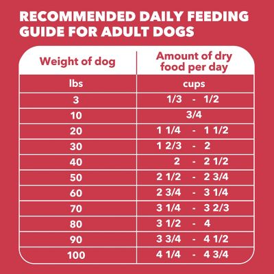 Image showing 8 th Iams ProActive Health MiniChunks Adult Lamb and Rice Recipe Dry Dog Food