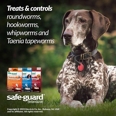 Image showing  Dewormer for Dogs