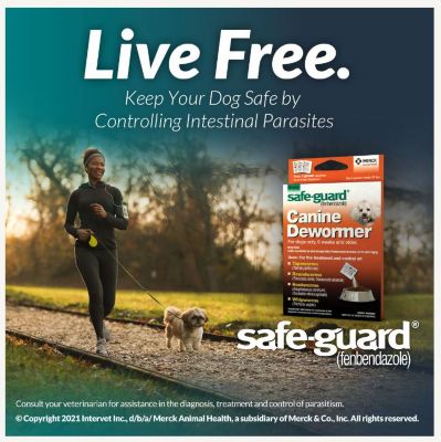 Image showing  Dewormer for Dogs