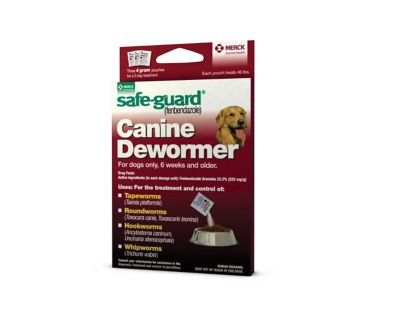 Safe-Guard Dewormer for Puppies and Dogs, 4 gm I just mixed it with soft dog food and the eat it quickly