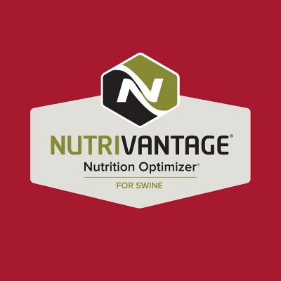 Image showing  Home Fresh Sow Performance Pelleted Pig Feed, 50 lb. Bag