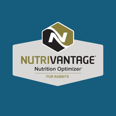 Image showing  Home Fresh Top Hutch 18 Pelleted Rabbit Food, 50 lb. Bag