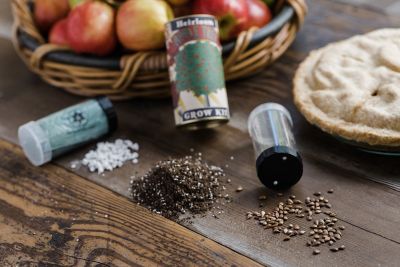 Image showing  Apple Tree Seed Grow Kit