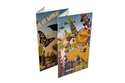 Image showing  Pollinator's Delight Flower Seed Grow Kit