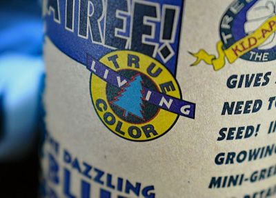 Image showing  Blue Spruce Tree Seed Grow Kit