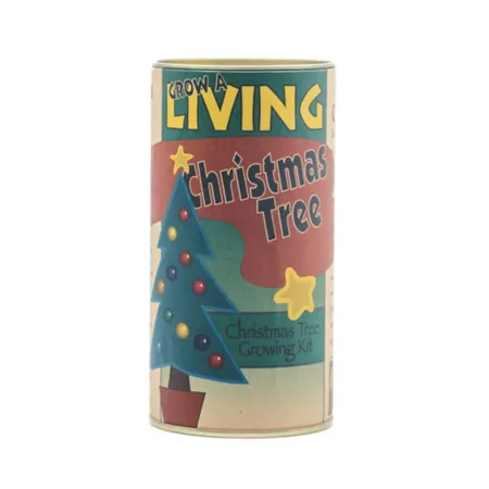 The Jonsteen CompanyChristmas Tree Seed Growing Kit Real Christmas Trees