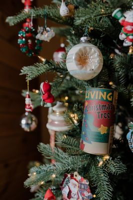 Image showing  Christmas Tree Seed Grow Kit