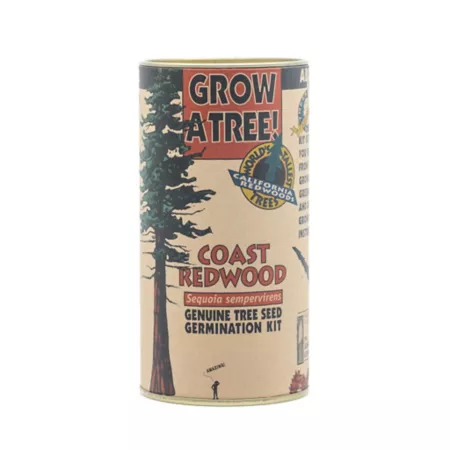 The Jonsteen Company Coast Redwood Seed Growing Kit Trees