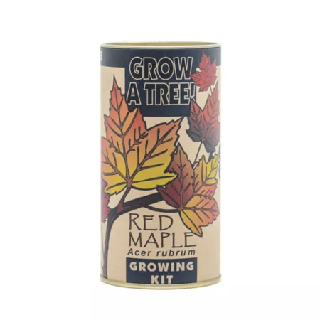 The Jonsteen Company Red Maple Seed Growing Kit Trees