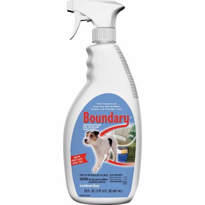 spray to keep dogs from digging