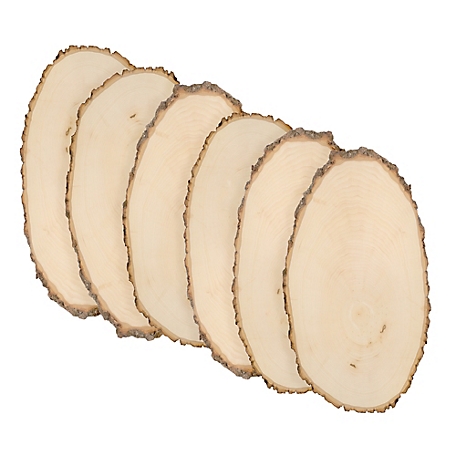 Walnut Hollow Basswood Round, Large 9 to 12 in. Wide 6 pk.