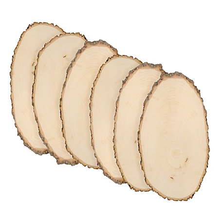 Walnut Hollow Basswood Round, Large 9 to 12 in. Wide 6 pk.
