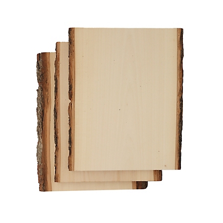 Walnut Hollow Basswood Plank, 9 to 11 in. Wide x 13 in. 3 pk.