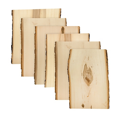 Walnut Hollow Rustic Basswood Plank 9 to 11 in. Wide x 13 in. 6 pk.