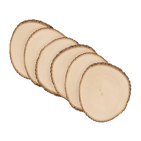 Walnut Hollow Basswood Round, Extra Large 12 to 14 in. Wide 6 pk.